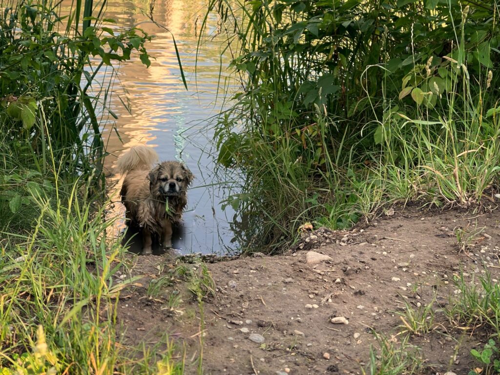 Kaya beim Baden