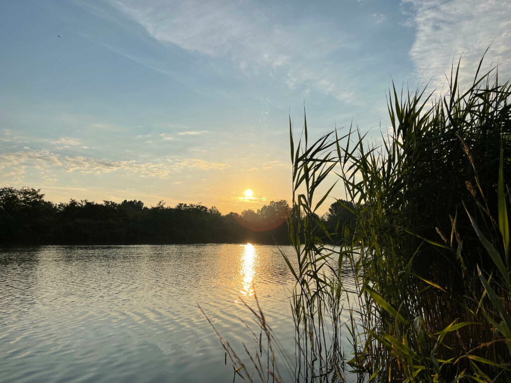 Sonnenaufgang auf meinem Fotoplatz am Teich