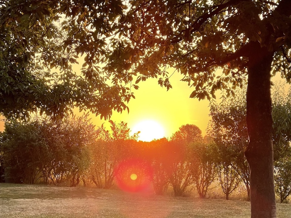 Sonnenaufgang im Gebetsgarten
