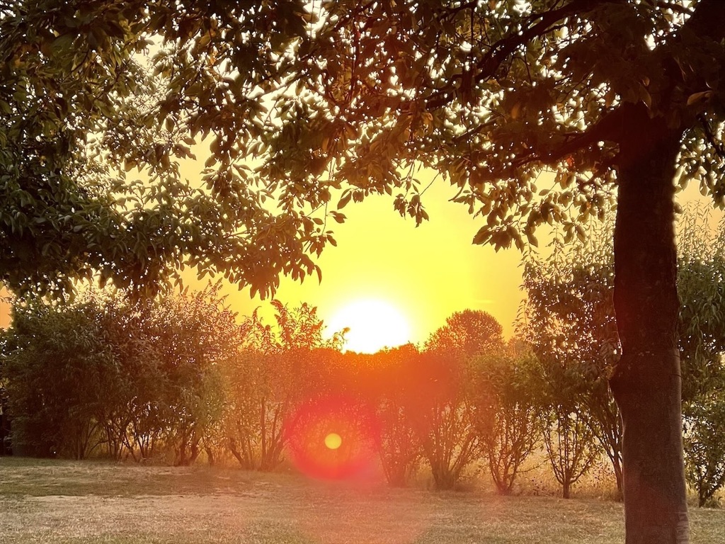 Sonnenaufgang im Gedenkgarten
