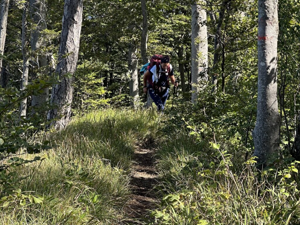 Steiler Waldweg auf dem eine Frau bergauf geht.