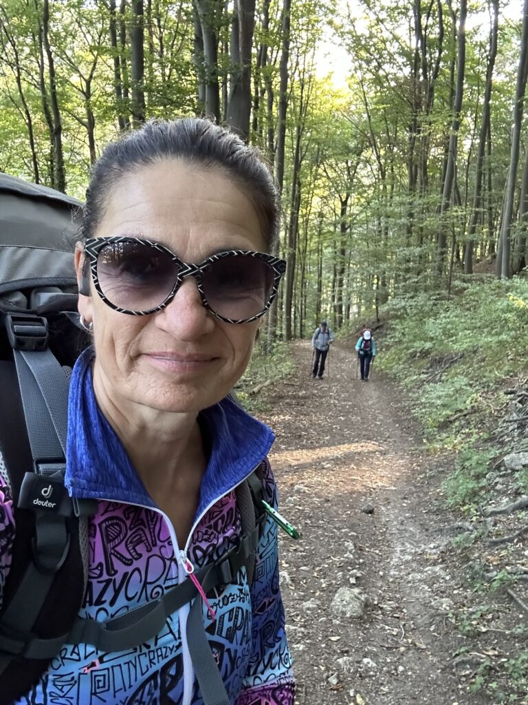 3 Wanderer im Wald
