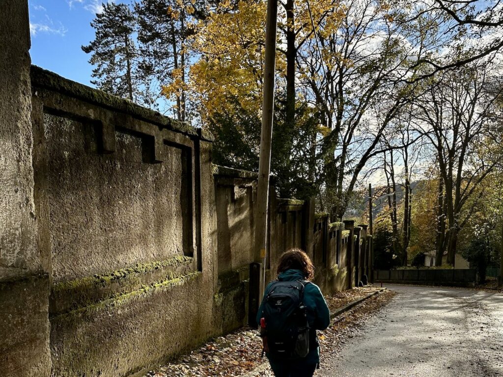 Straße neben den Mauern der Steinhofgründe